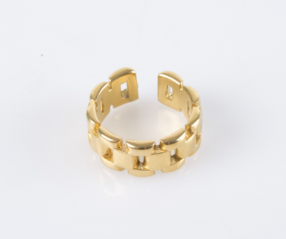 Anillo Chain Fusion