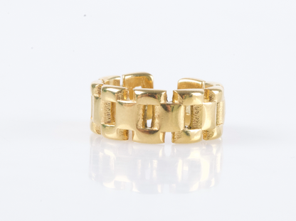 Anillo Chain Fusion